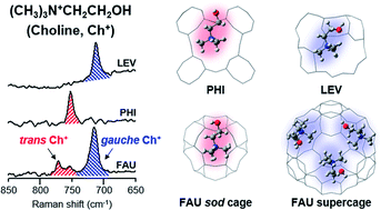 Graphical abstract: Conformation of intrazeolitic choline ions and the framework topology of zeolite hosts