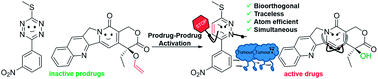 Graphical abstract: Tetrazine-mediated bioorthogonal prodrug–prodrug activation