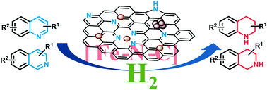 Graphical abstract: A robust iron catalyst for the selective hydrogenation of substituted (iso)quinolones