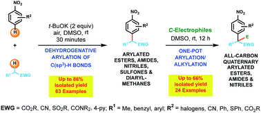 Graphical abstract: Transition metal-free direct dehydrogenative arylation of activated C(sp3)–H bonds: synthetic ambit and DFT reactivity predictions