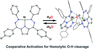 Graphical abstract: Reversible homolytic activation of water via metal–ligand cooperativity in a T-shaped Ni(ii) complex