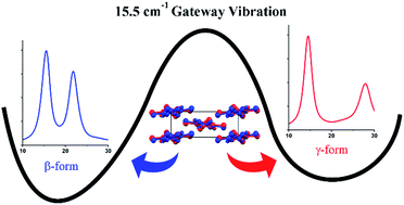 Graphical abstract: Mapping the polymorphic transformation gateway vibration in crystalline 1,2,4,5-tetrabromobenzene