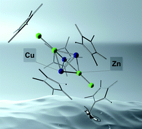 Graphical abstract: Embryonic brass: pseudo two electron Cu/Zn clusters