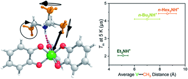 Graphical abstract: Counterion influence on dynamic spin properties in a V(iv) complex