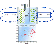 Graphical abstract: Highlighting spin selectivity properties of chiral electrode surfaces from redox potential modulation of an achiral probe under an applied magnetic field