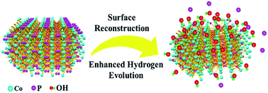 Graphical abstract: Surface reconstruction of cobalt phosphide nanosheets by electrochemical activation for enhanced hydrogen evolution in alkaline solution