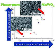 Graphical abstract: How to control selectivity in alkane oxidation?