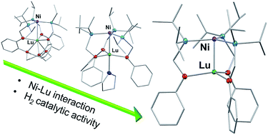 Graphical abstract: Bimetallic nickel-lutetium complexes: tuning the properties and catalytic hydrogenation activity of the Ni site by varying the Lu coordination environment