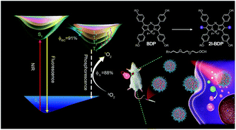 Graphical abstract: Deciphering the intersystem crossing in near-infrared BODIPY photosensitizers for highly efficient photodynamic therapy