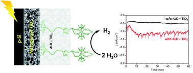 Graphical abstract: A robust ALD-protected silicon-based hybrid photoelectrode for hydrogen evolution under aqueous conditions