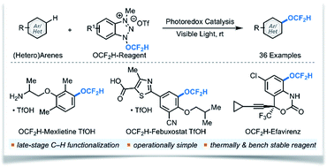 Graphical abstract: Catalytic radical difluoromethoxylation of arenes and heteroarenes