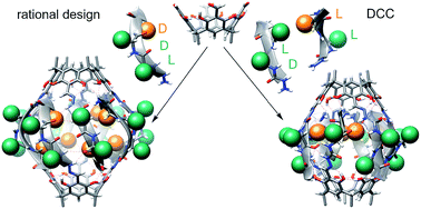 Graphical abstract: Peptide-based capsules with chirality-controlled functionalized interiors – rational design and amplification from dynamic combinatorial libraries