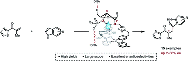 Graphical abstract: A rational quest for selectivity through precise ligand-positioning in tandem DNA-catalysed Friedel–Crafts alkylation/asymmetric protonation