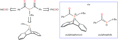 Graphical abstract: Synthesis of acyl(chloro)phosphines enabled by phosphinidene transfer