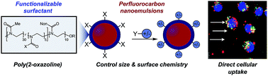Graphical abstract: Controlling nanoemulsion surface chemistry with poly(2-oxazoline) amphiphiles