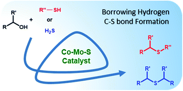 Graphical abstract: Nanolayered cobalt–molybdenum sulphides (Co–Mo–S) catalyse borrowing hydrogen C–S bond formation reactions of thiols or H2S with alcohols
