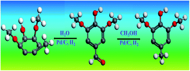 Graphical abstract: Hydrogenation of fourteen biomass-derived phenolics in water and in methanol: their distinct reaction behaviours