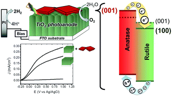 Graphical abstract: Optimised heterojunctions between [100]-oriented rutile TiO2 arrays and {001} faceted anatase nanodomains for enhanced photoelectrochemical activity