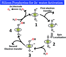 Graphical abstract: Two-electron oxidation of water to form hydrogen peroxide catalysed by silicon-porphyrins