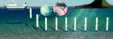 Graphical abstract: The use of silver nanoparticles for the recovery of uranium from seawater by means of biofouling mitigation