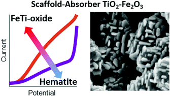 Graphical abstract: Design aspects of all atomic layer deposited TiO2–Fe2O3 scaffold-absorber photoanodes for water splitting