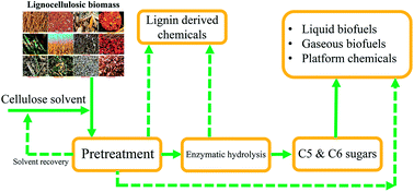 Graphical abstract: Cellulose solvent-based pretreatment for enhanced second-generation biofuel production: a review