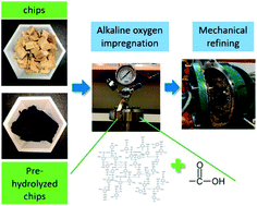 Graphical abstract: Alkali–oxygen treatment prior to the mechanical pulping of hardwood enhances enzymatic hydrolysis and carbohydrate recovery through selective lignin modification