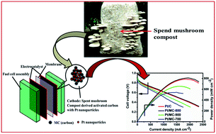 Graphical abstract: Enhancing stability and efficiency of oxygen reduction reaction in polymer electrolyte fuel cells with high surface area mesoporous carbon synthesized from spent mushroom compost