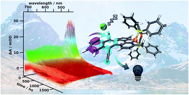 Graphical abstract: Remarkably long-lived excited states of copper photosensitizers containing an extended π-system based on an anthracene moiety