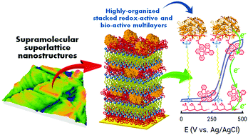 Graphical abstract: Highly-organized stacked multilayers via layer-by-layer assembly of lipid-like surfactants and polyelectrolytes. Stratified supramolecular structures for (bio)electrochemical nanoarchitectonics