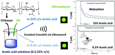 Graphical abstract: Ultrasonically synthesized organic liquid-filled chitosan microcapsules: part 1: tuning physical & functional properties