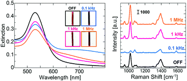 Graphical abstract: The plasmonic properties of gold nanoparticle clusters formed via applying an AC electric field