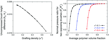 Graphical abstract: Lattice self-consistent field calculations of ring polymer brushes