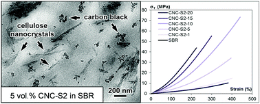 Graphical abstract: Rubber materials from elastomers and nanocellulose powders: filler dispersion and mechanical reinforcement