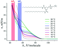 Graphical abstract: Against the rules: pressure induced transition from high to reduced order