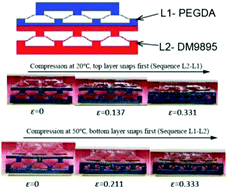 Graphical abstract: Viscoelastic multistable architected materials with temperature-dependent snapping sequence