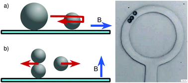 Graphical abstract: Magnetically driven omnidirectional artificial microswimmers