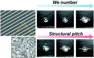 Graphical abstract: Anisotropic drop spreading on superhydrophobic grates during drop impact