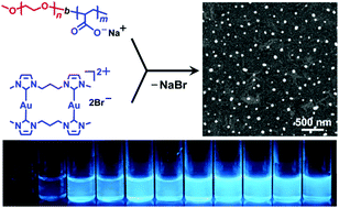 Graphical abstract: Intensely phosphorescent block copolymer micelles containing gold(i) complexes