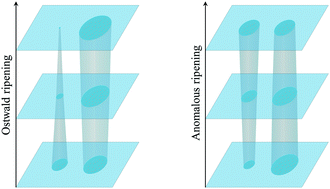 Graphical abstract: Active fluids at circular boundaries: swim pressure and anomalous droplet ripening