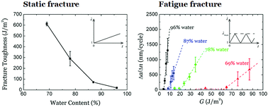 Graphical abstract: Fatigue fracture of nearly elastic hydrogels