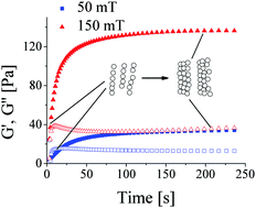 Graphical abstract: Study of the thixotropic behaviors of ferrofluids