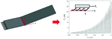 Graphical abstract: Emergence of the interplay between hierarchy and contact splitting in biological adhesion highlighted through a hierarchical shear lag model