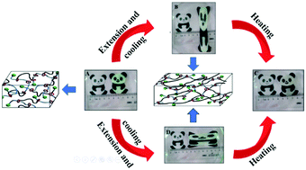 Graphical abstract: High-strain slide-ring shape-memory polycaprolactone-based polyurethane