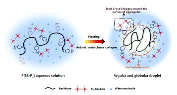 Graphical abstract: Insights into the thermal phase transition behavior of a gemini dicationic polyelectrolyte in aqueous solution