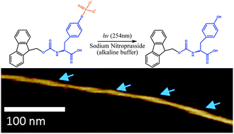 Graphical abstract: Construction of supramolecular hydrogels using photo-generated nitric oxide radicals