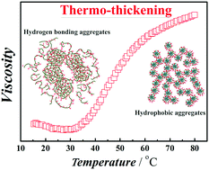 Graphical abstract: Thermo-thickening behavior and its mechanism in a chitosan-graft-polyacrylamide aqueous solution