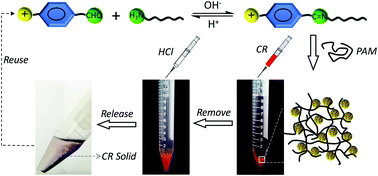 Graphical abstract: Coacervation of dynamic covalent surfactants with polyacrylamides: properties and applications