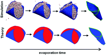 Graphical abstract: Two- and three-dimensional self-folding of free-standing graphene by liquid evaporation