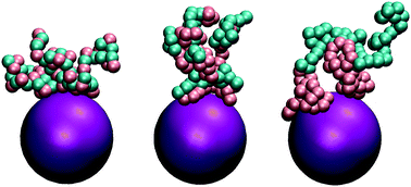 Graphical abstract: Effect of copolymer sequence on structure and relaxation times near a nanoparticle surface